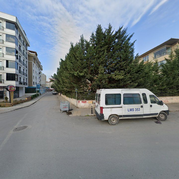 Fotoğraf 8