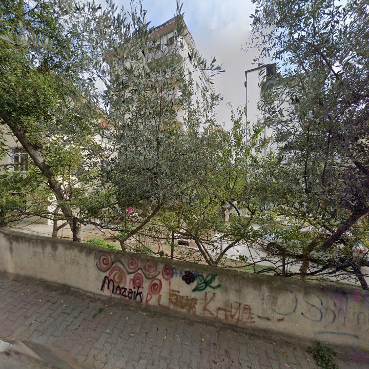 Fotoğraf 11