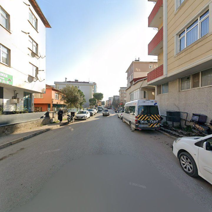 Fotoğraf 10
