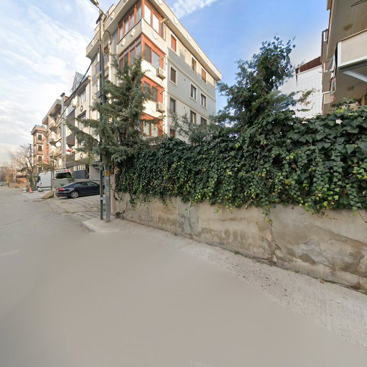 Fotoğraf 12