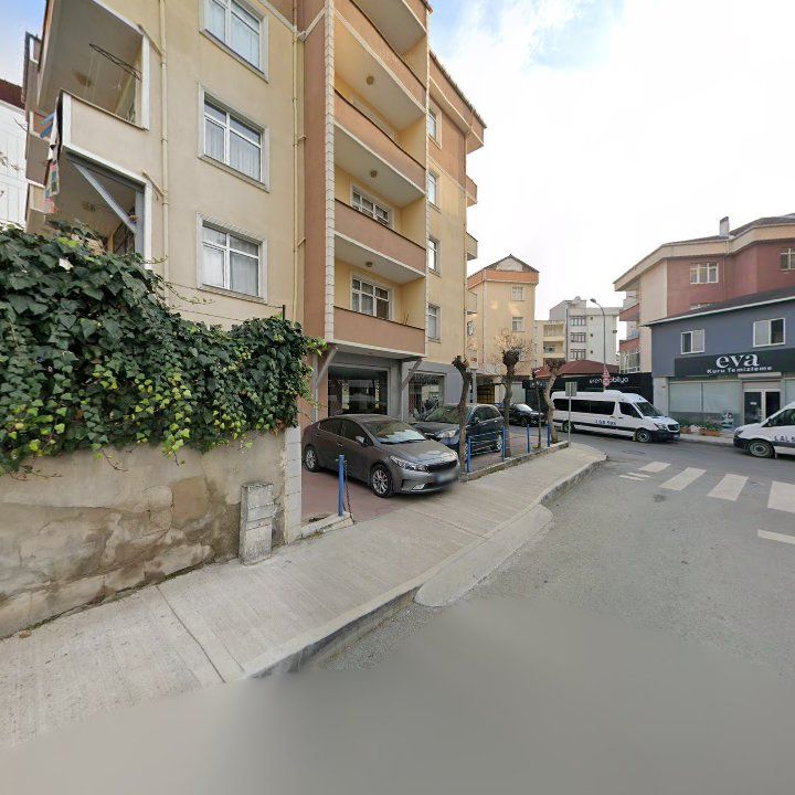 Fotoğraf 13