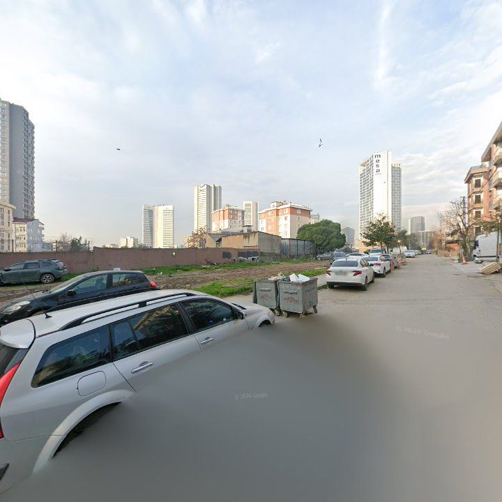 Fotoğraf 11