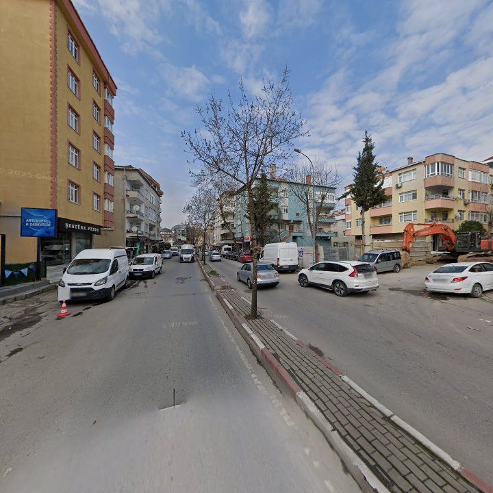 Fotoğraf 8