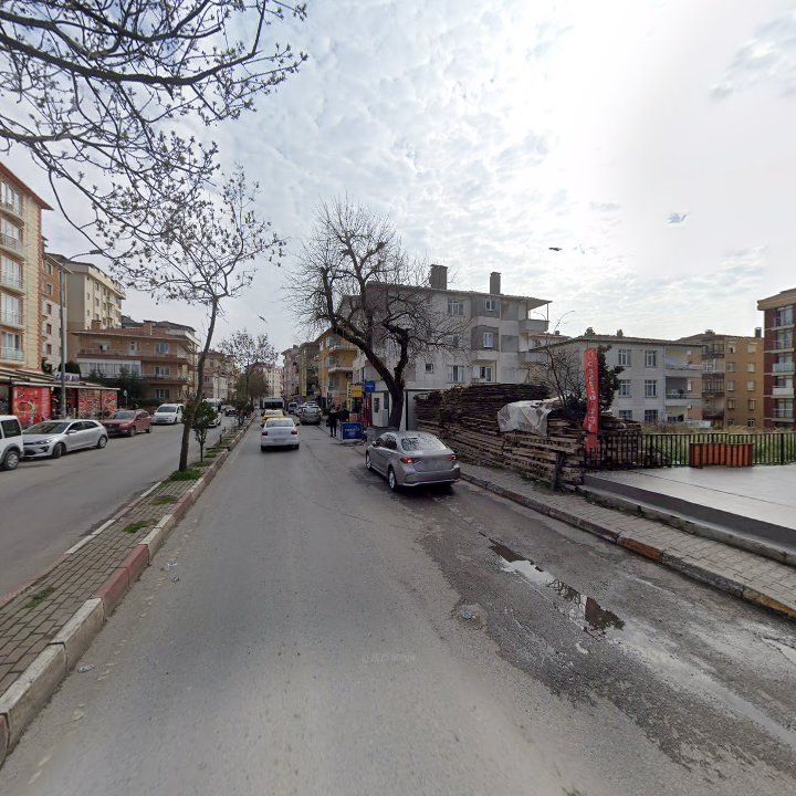 Fotoğraf 10
