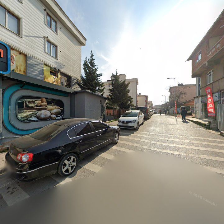 Fotoğraf 10