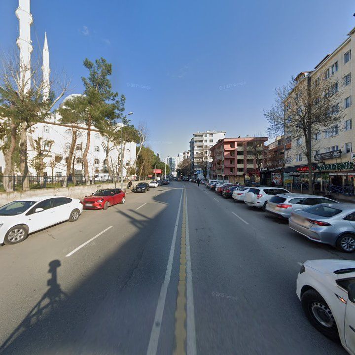 Fotoğraf 5