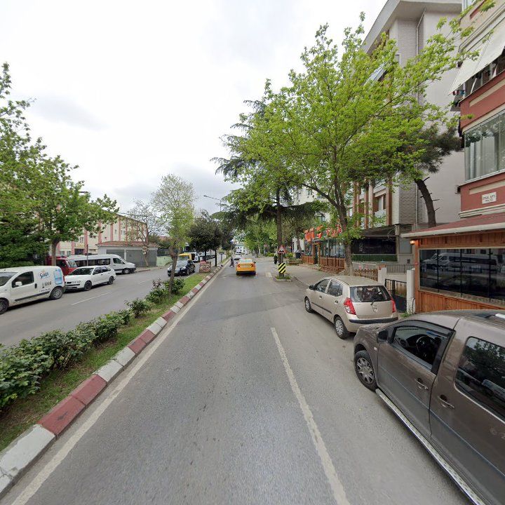 Fotoğraf 11