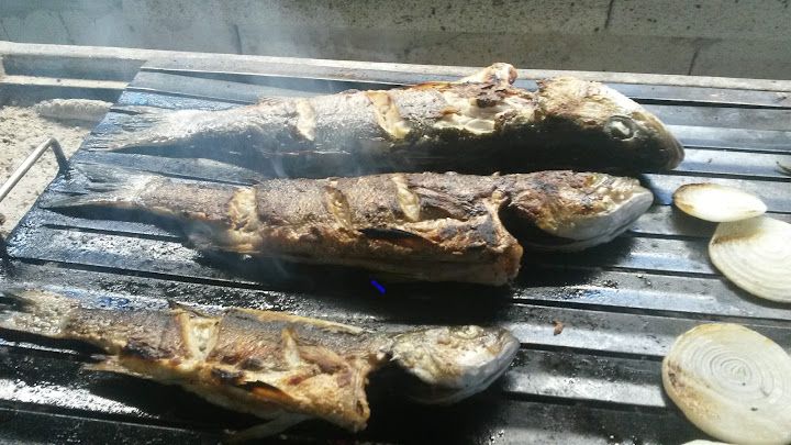 Fotoğraf 17