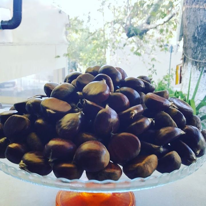 Fotoğraf 19