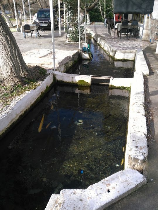 Yorum fotoğrafı 4