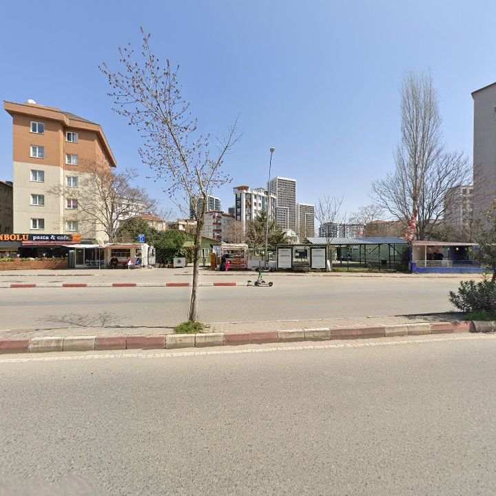 Fotoğraf 10