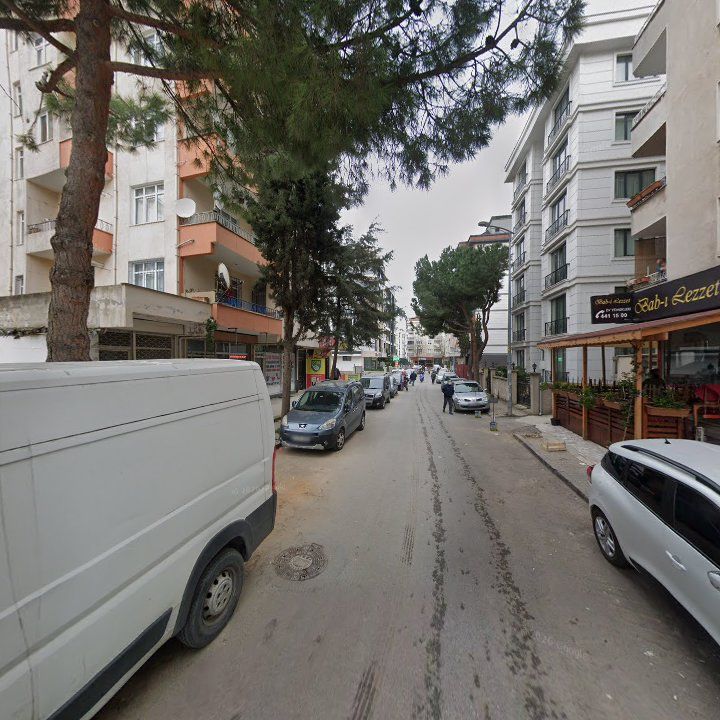 Fotoğraf 10