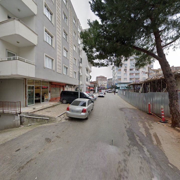 Fotoğraf 12