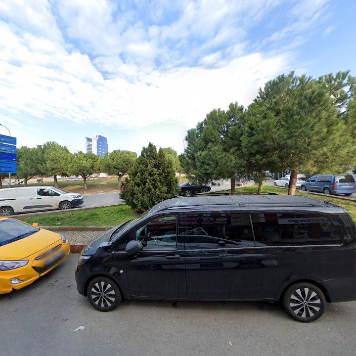 Fotoğraf 11