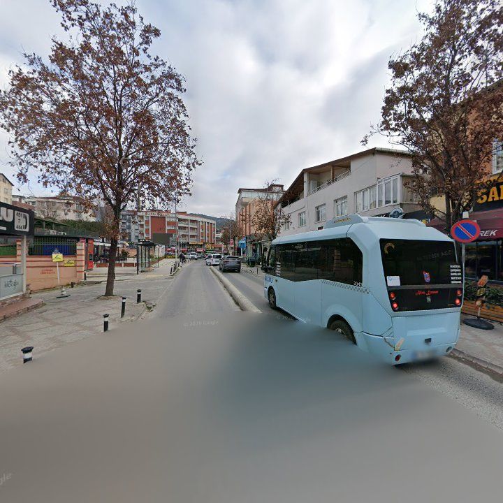 Fotoğraf 10