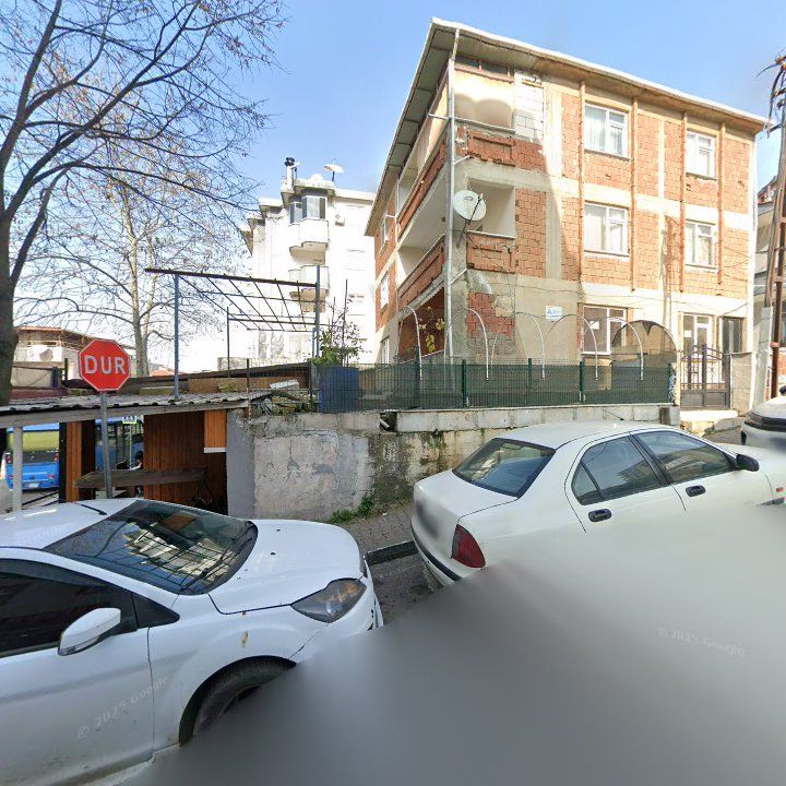 Fotoğraf 3