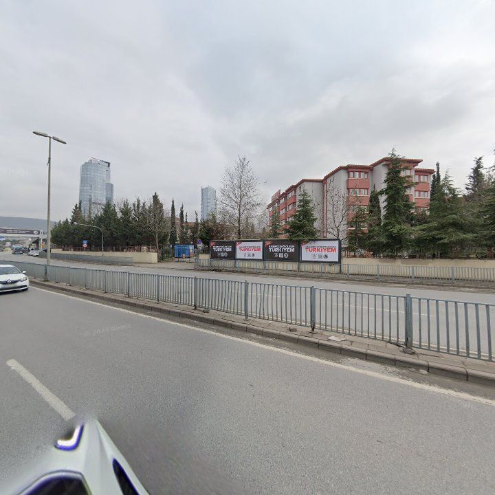 Fotoğraf 12