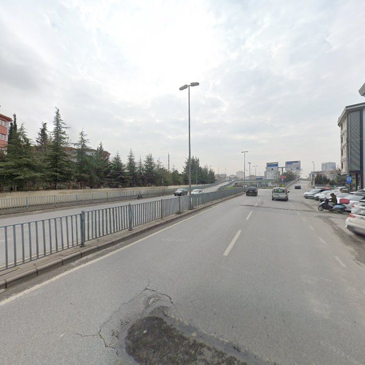 Fotoğraf 13