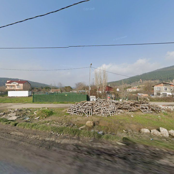 Fotoğraf 8
