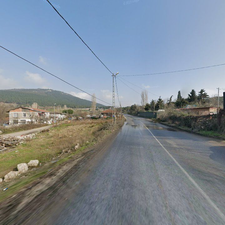Fotoğraf 9