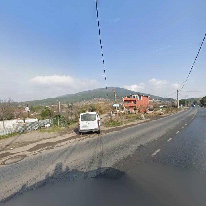 Fotoğraf 10