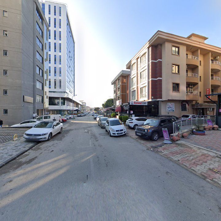 Fotoğraf 11