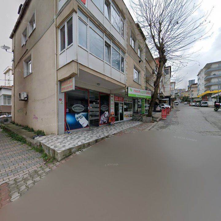 Fotoğraf 10