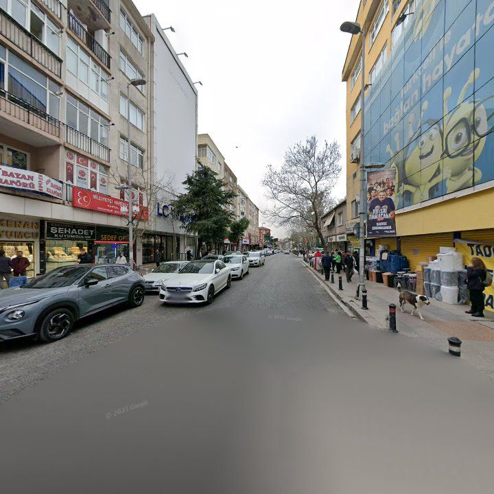 Fotoğraf 10