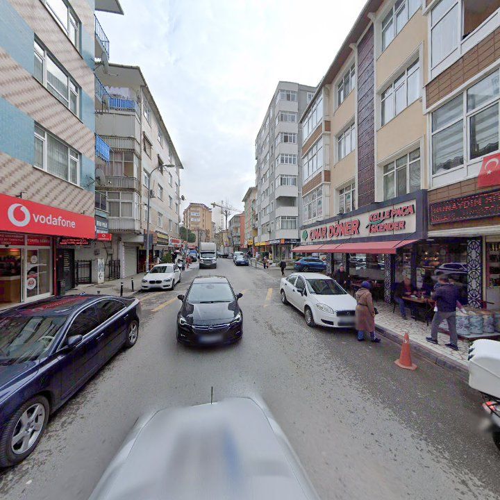 Fotoğraf 11
