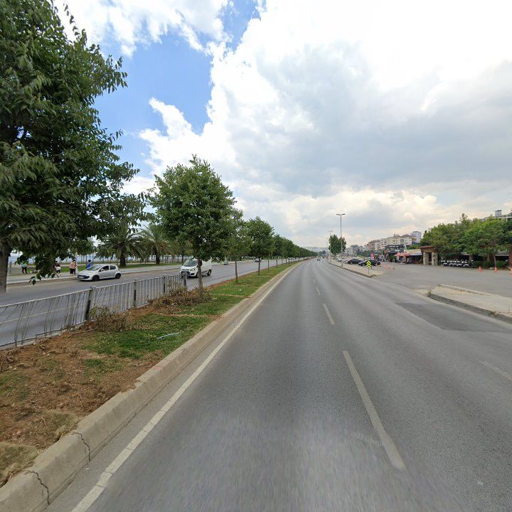 Fotoğraf 13