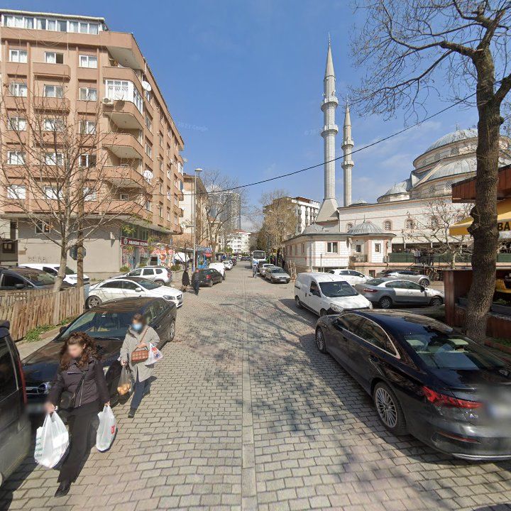 Fotoğraf 13