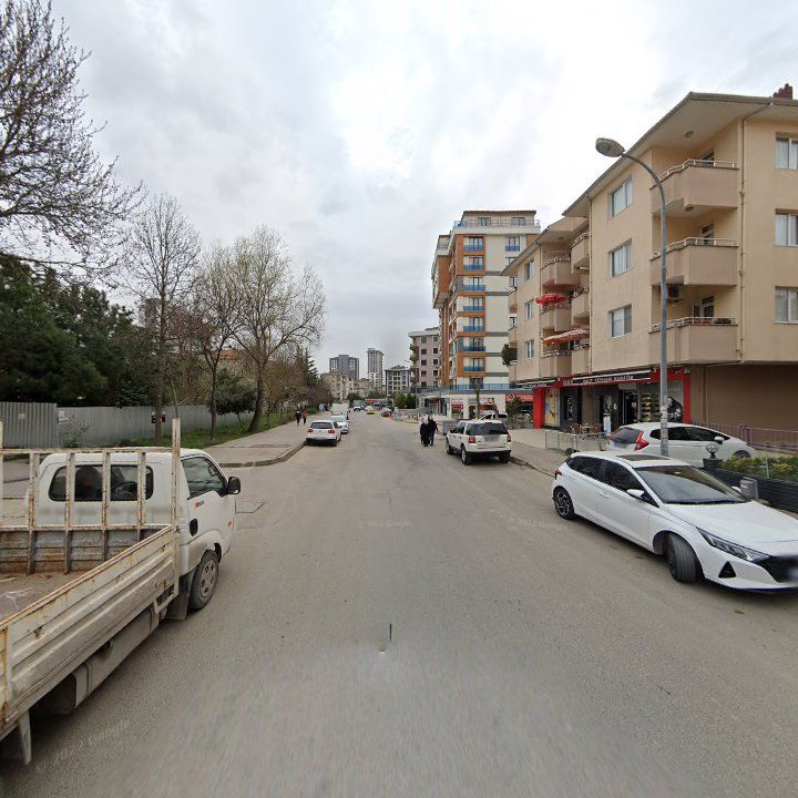 Fotoğraf 10