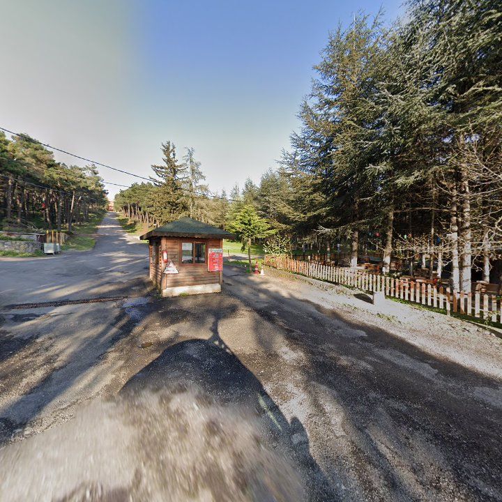 Fotoğraf 11