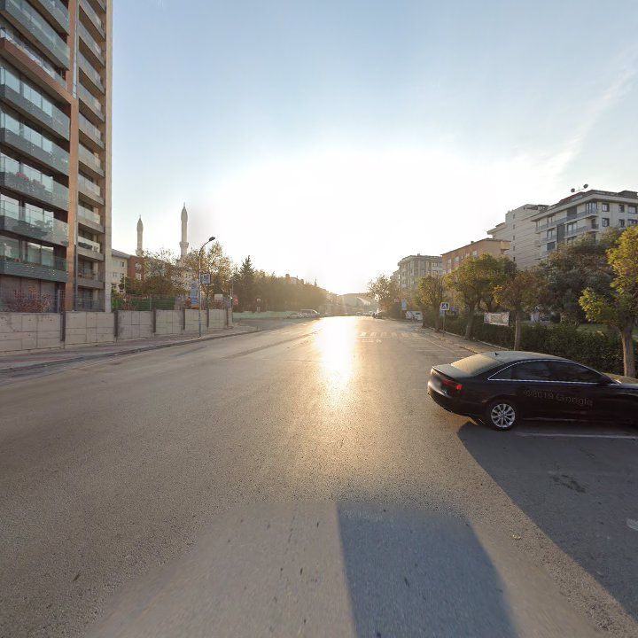 Fotoğraf 10