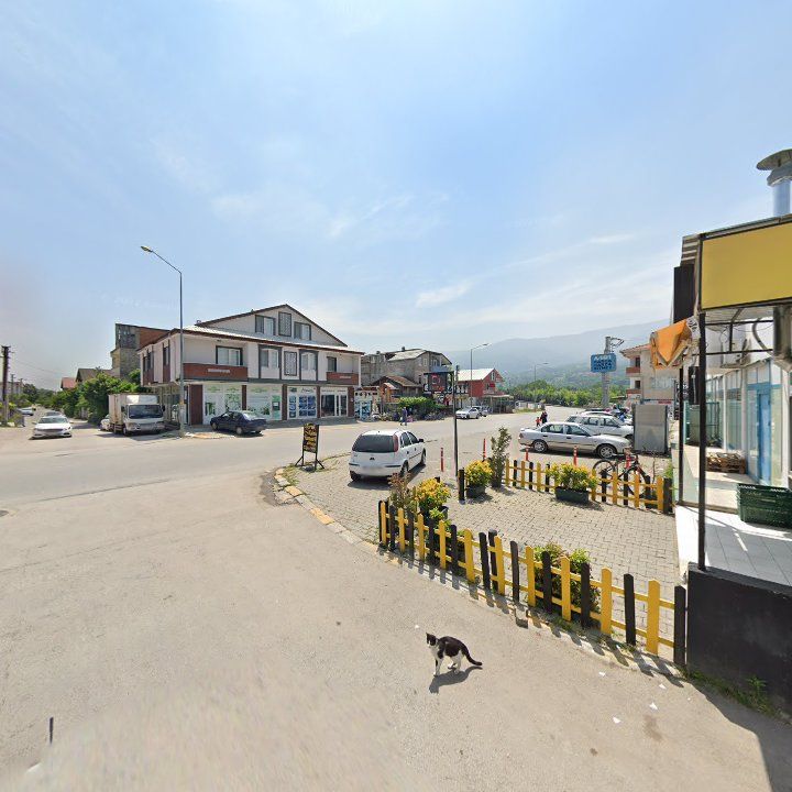 Fotoğraf 9