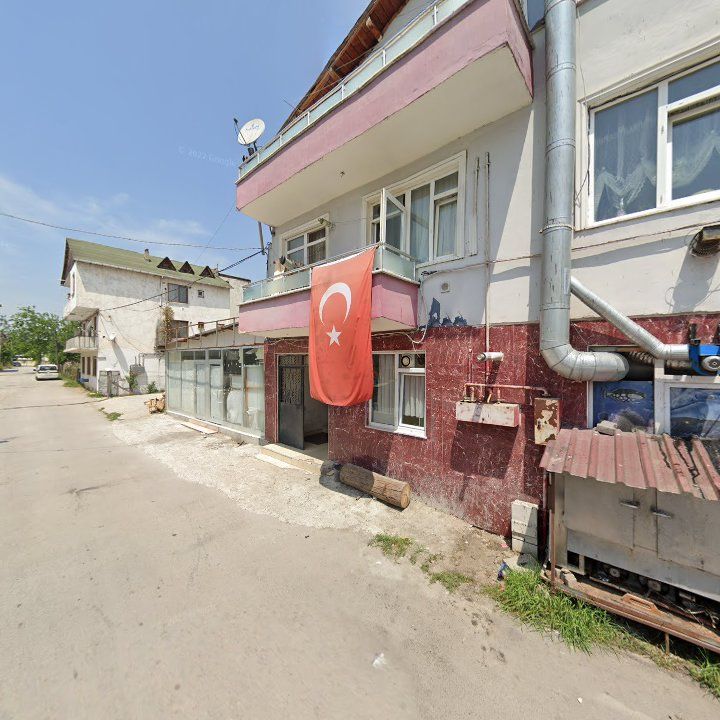 Fotoğraf 11