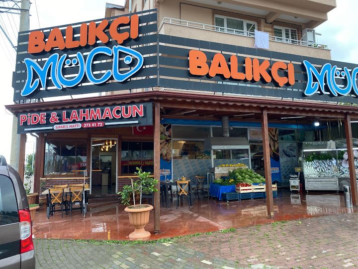 Balıkçı müco