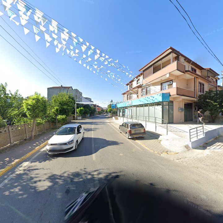 Fotoğraf 7