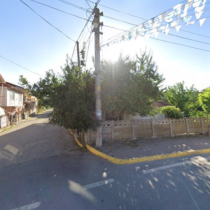Fotoğraf 6