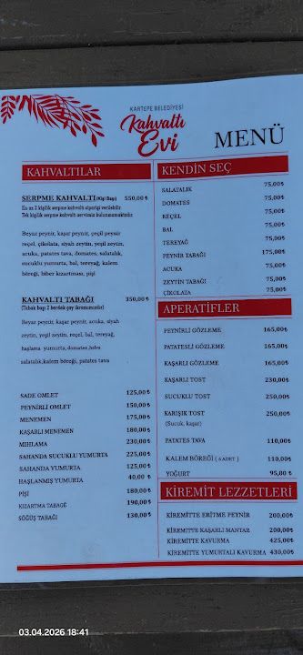 Fotoğraf 31