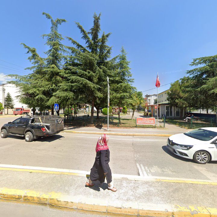 Fotoğraf 6