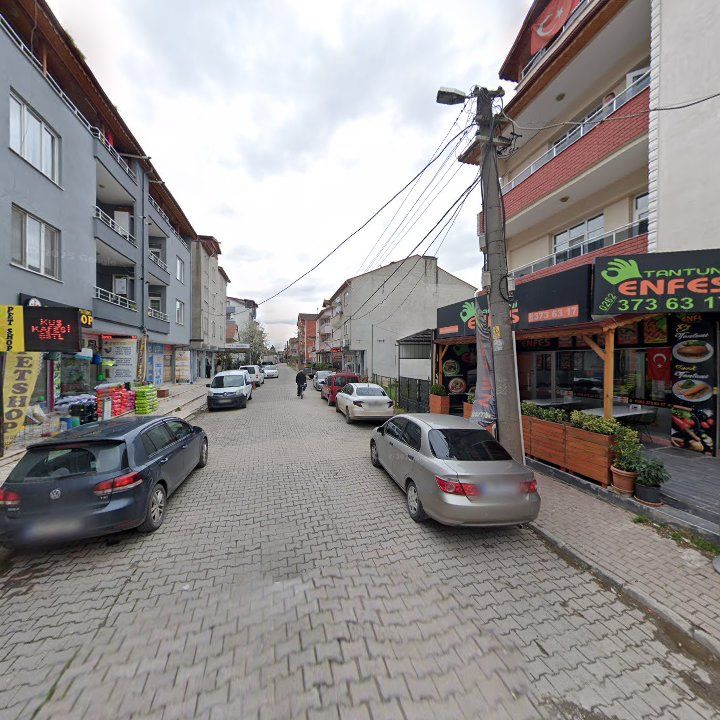 Fotoğraf 7