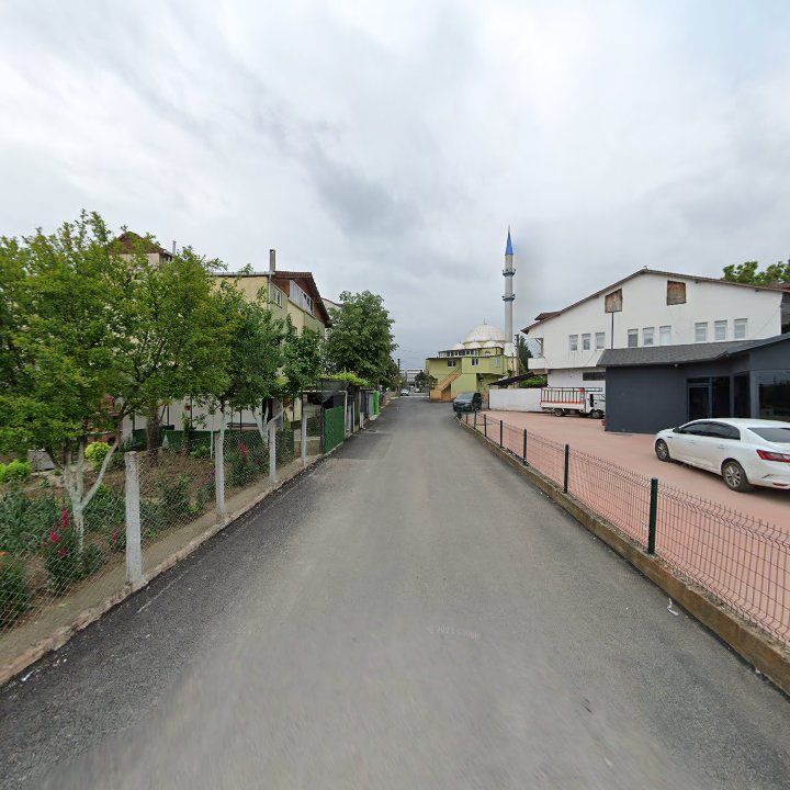Fotoğraf 9