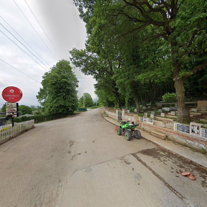 Fotoğraf 9