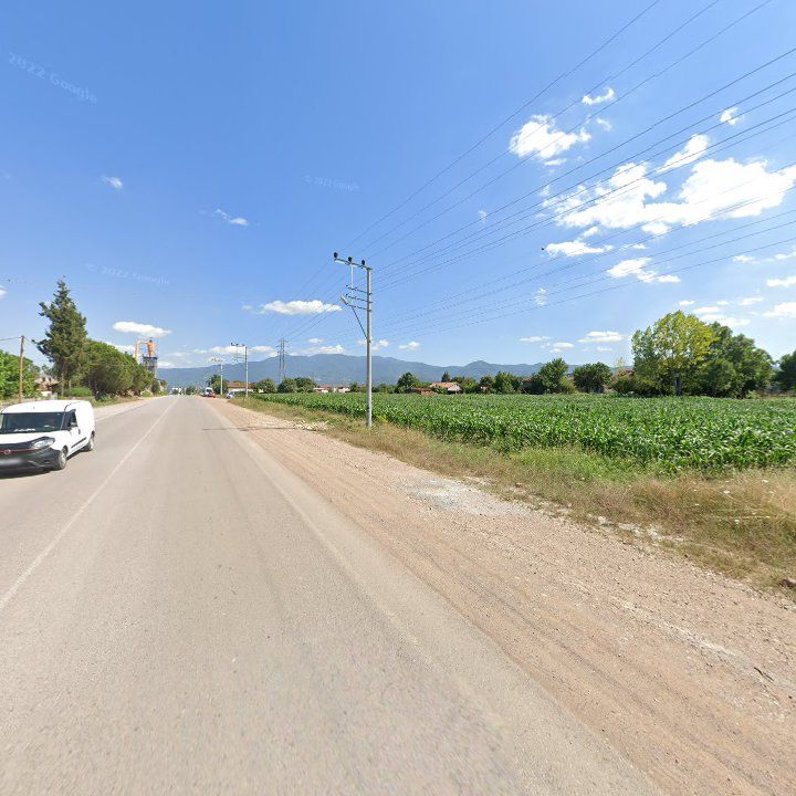 Fotoğraf 12