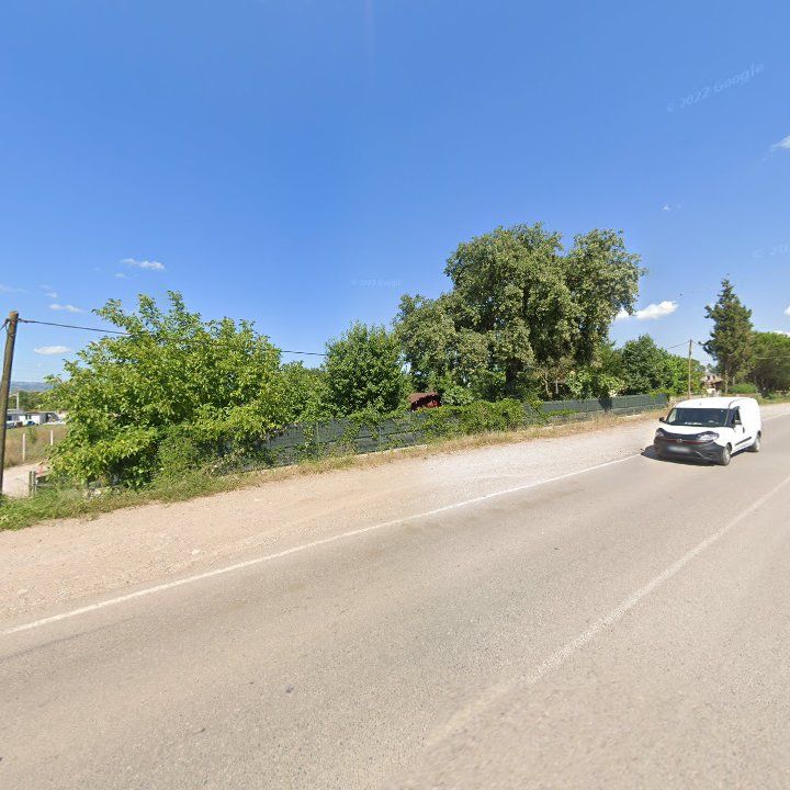 Fotoğraf 11