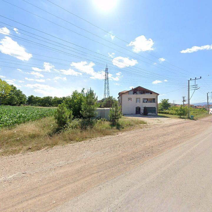 Fotoğraf 13