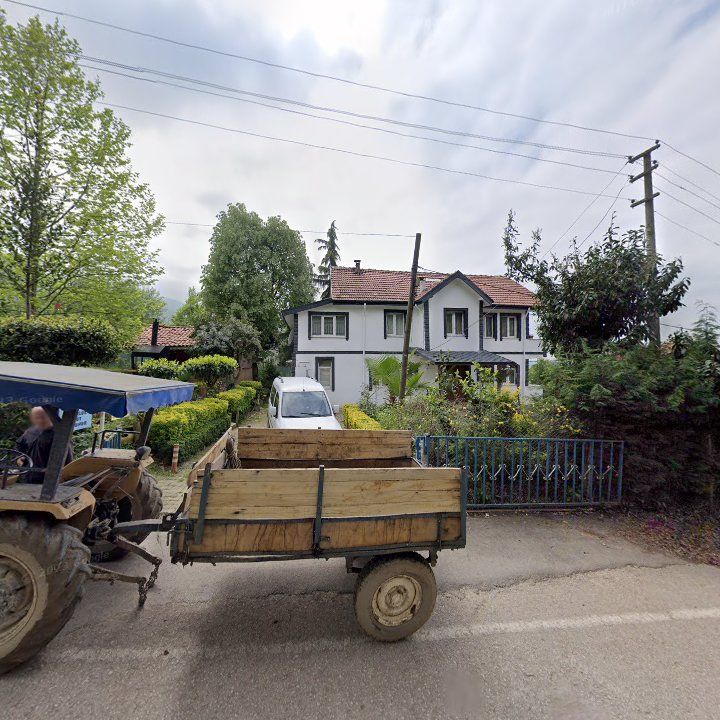 Fotoğraf 8