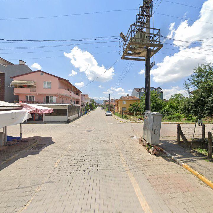 Fotoğraf 5