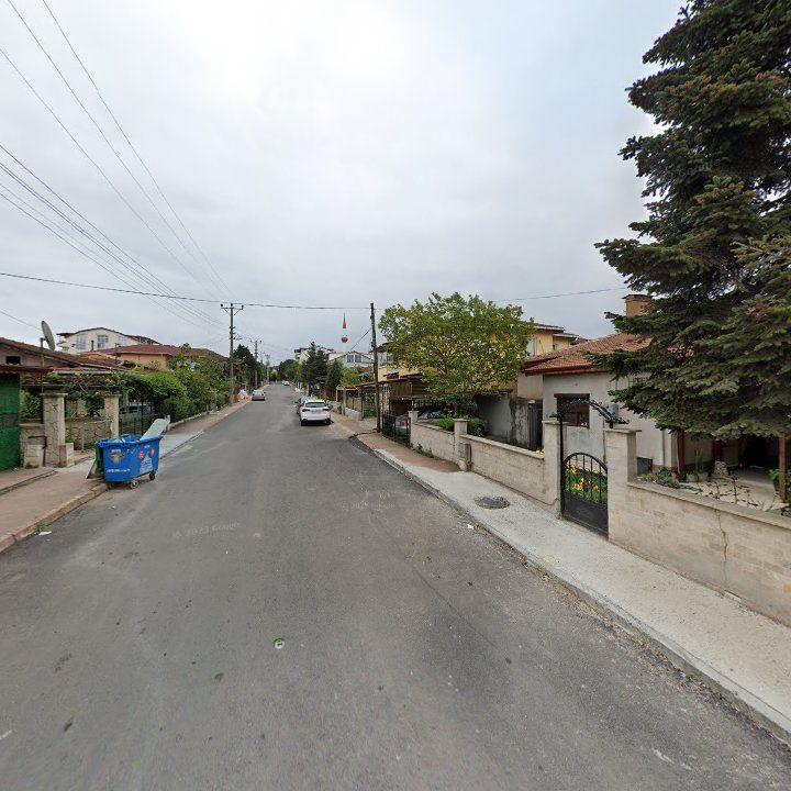 Fotoğraf 6